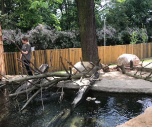 Wydry zoo Wrocław