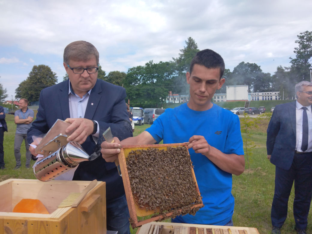 Pół miliona pszczół zamieszkało na terenie ujęcia wody MPWiK w Zwięczycy