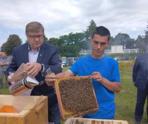 Pół miliona pszczół zamieszkało na terenie ujęcia wody MPWiK w Zwięczycy