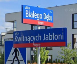 Oto najbardziej wiosenne ulice w stolicy! Tu wiosna trwa cały rok!