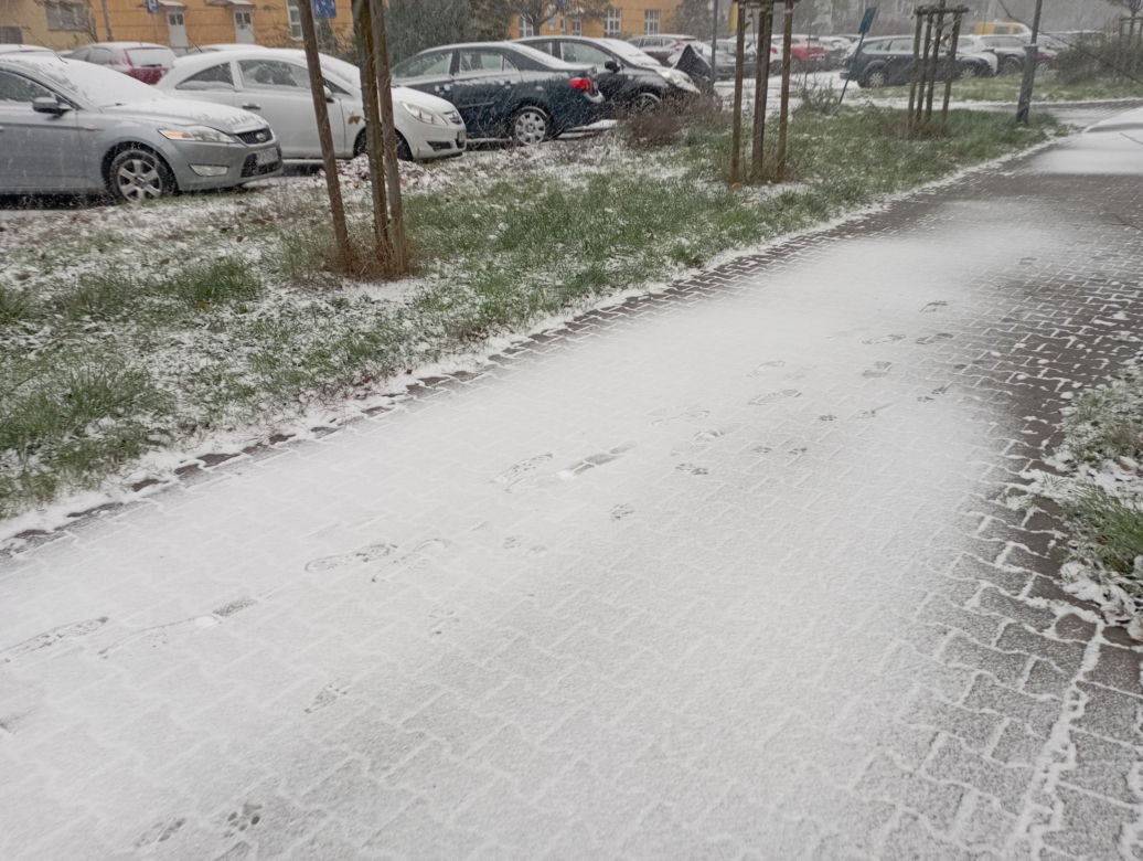 Zima w Poznaniu. Pierwszy śnieg spadł w Wielkopolsce