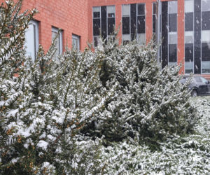 Śnieżyca nad Warszawą. Kiedy przestanie padać?