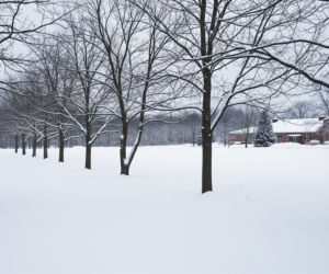 Mrozy paraliżują szkoły. Gdzie uczniowie mają wolne od zajęć?