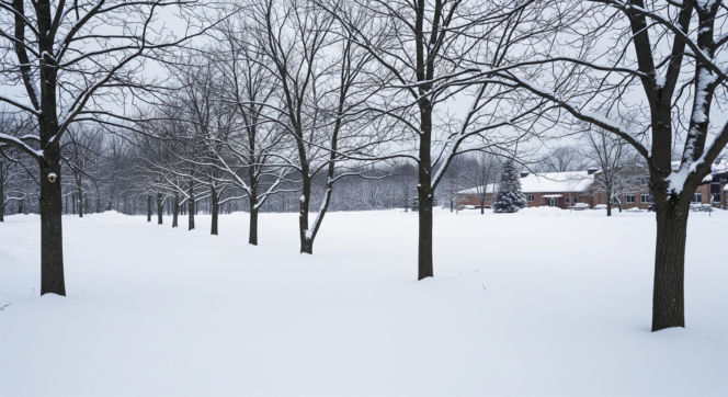 Mrozy paraliżują szkoły. Gdzie uczniowie mają wolne od zajęć?