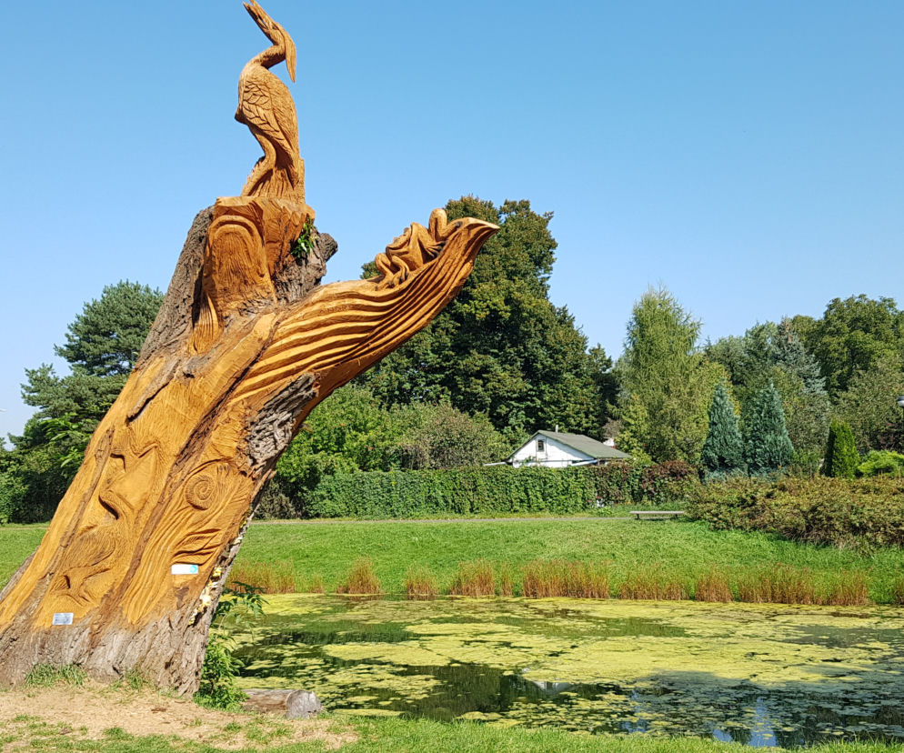 Park Kępa Potocka z nowymi rzeźbami