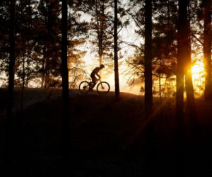 Garmin