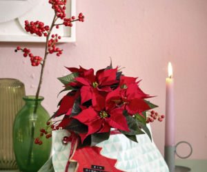 Najpiękniejsze dekoracje świąteczne z poinsecją w roli głównej