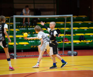 Berlinki Handball Liga