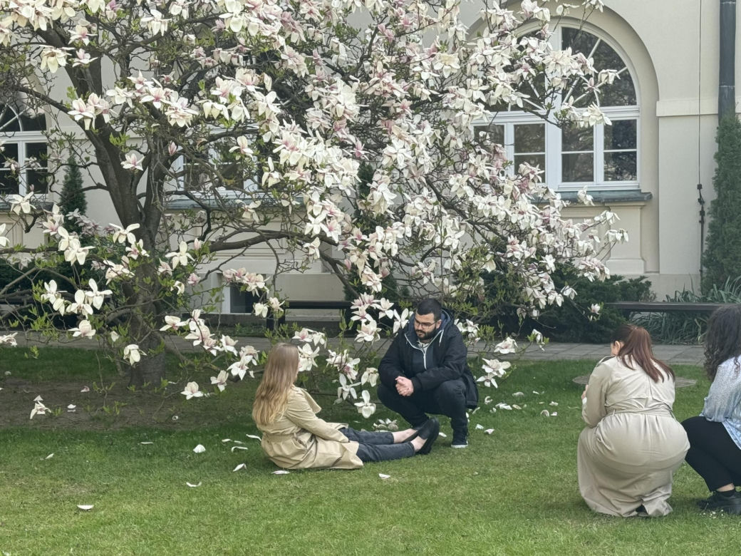 magnolie na KUL-u