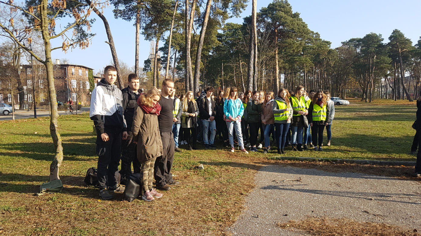 Sto drzew na 100. rocznicę odzyskania niepodległości w Toruniu