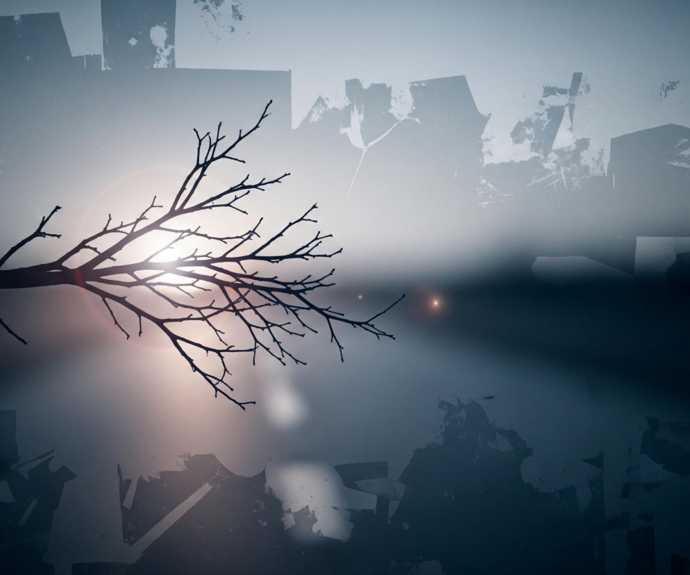 W centralnej części obrazu, na tle jasnego, rozmytego światła, widnieje ciemna sylwetka nagiej gałęzi drzewa z licznymi rozgałęzieniami. Tło jest gradientem szarości, od jasnego, niemal białego w centrum, po ciemny, granatowy odcień w prawym dolnym rogu i na brzegach. Całość pokryta jest nieregularnymi, półprzezroczystymi kształtami przypominającymi pociągnięcia pędzla lub zamazane plamy. W prawym górnym rogu widoczna jest mniejsza, pomarańczowa poświata.