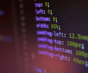 administratorzy stron internetowych oraz projektanci i administratorzy baz danych, programiści