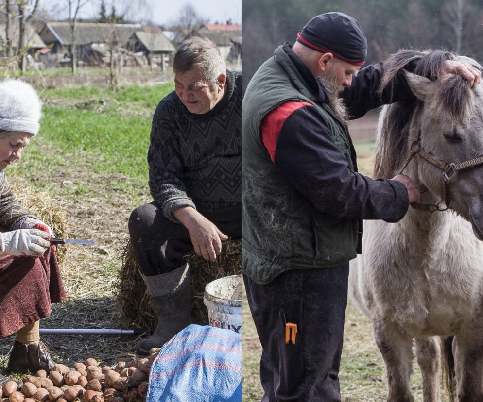 Kobieta w gospodarstwie Gienka z Plutycz. Nerwowo u Maćka z Kundzicz. Nowy odcinek Rolnicy. Podlasie