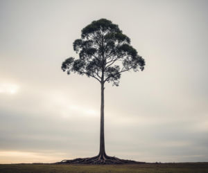 Jarosław Kaczyński o zjednoczeniu prawicy. Ważny apel do elektoratu