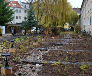 Podwórka z Natury 2020. Zobacz zdjęcia z tegorocznych metamorfoz
