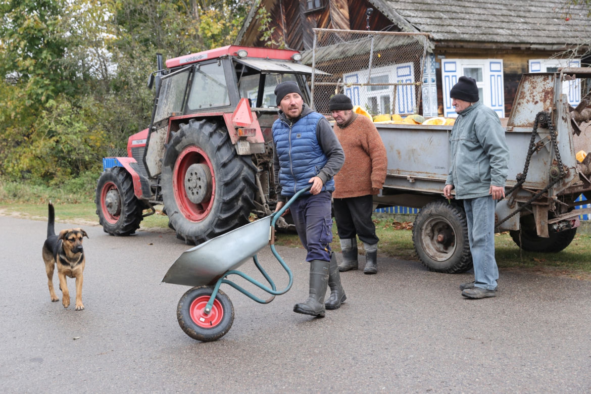 Rolnicy. Podlasie. Gienek, Andrzej i Sławek w Deniskach. Odbierają dynie