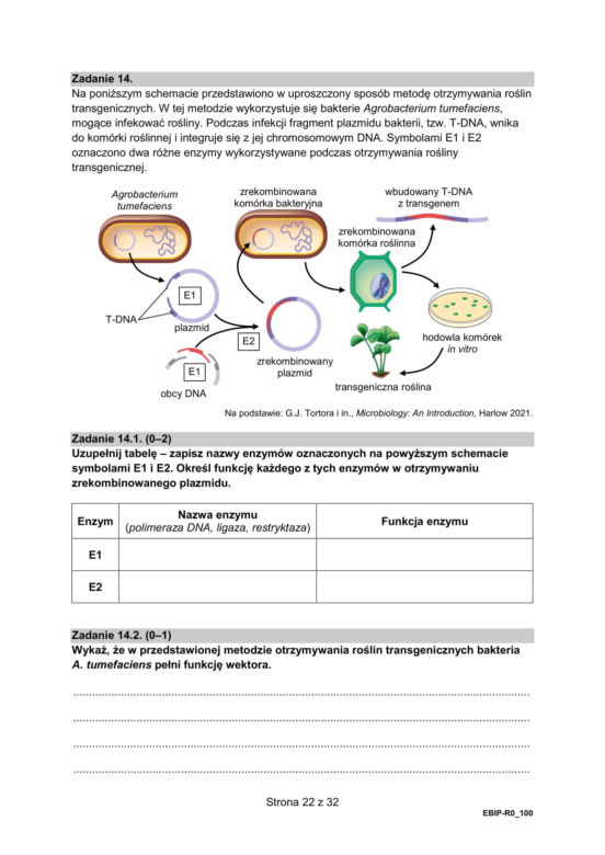 Matura 2025: biologia 9.05.2025. Arkusze CKE i odpowiedzi [Formuła 2015]