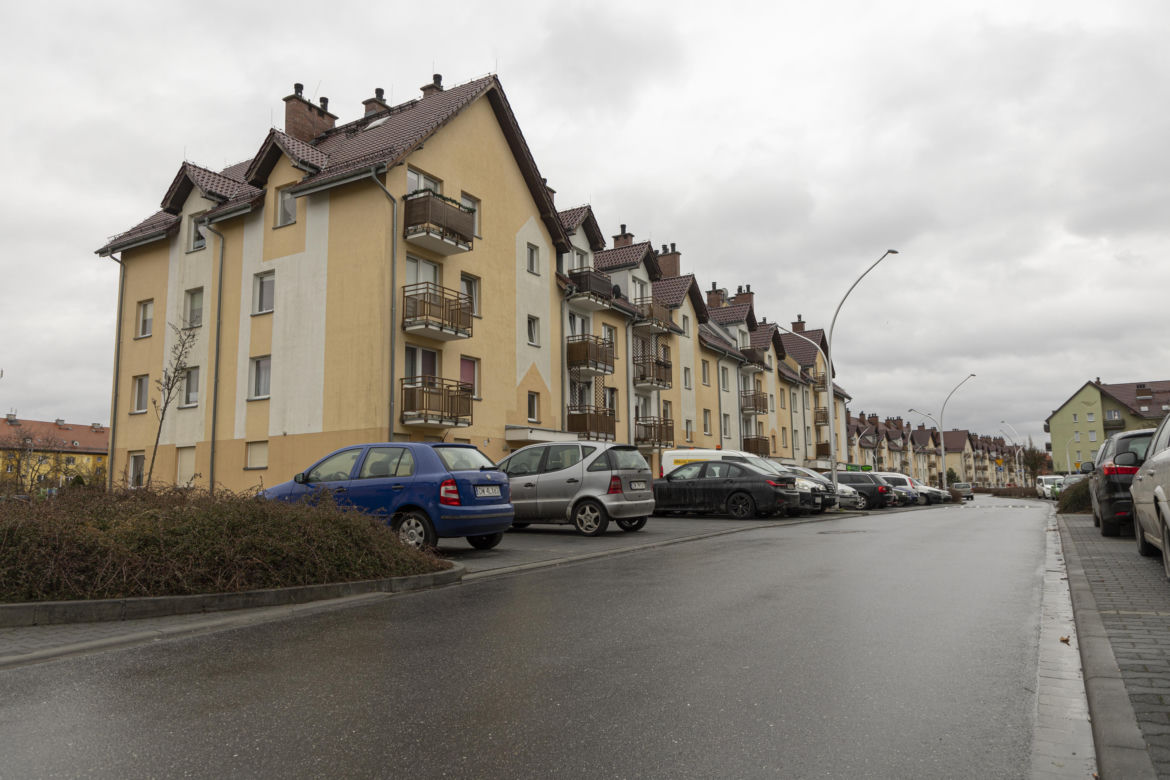 Zagryziona sarna, biegające luzem groźne psy. Psychoza na Brochowie we Wrocławiu 