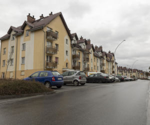 Zagryziona sarna, biegające luzem groźne psy. Psychoza na Brochowie we Wrocławiu 