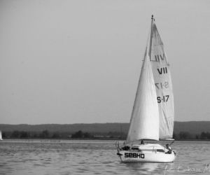 Jezioro Dąbie