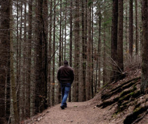 Wystarczy kilkadziesiąt minut w lesie. Organizm zareaguje szybciej niż myślisz