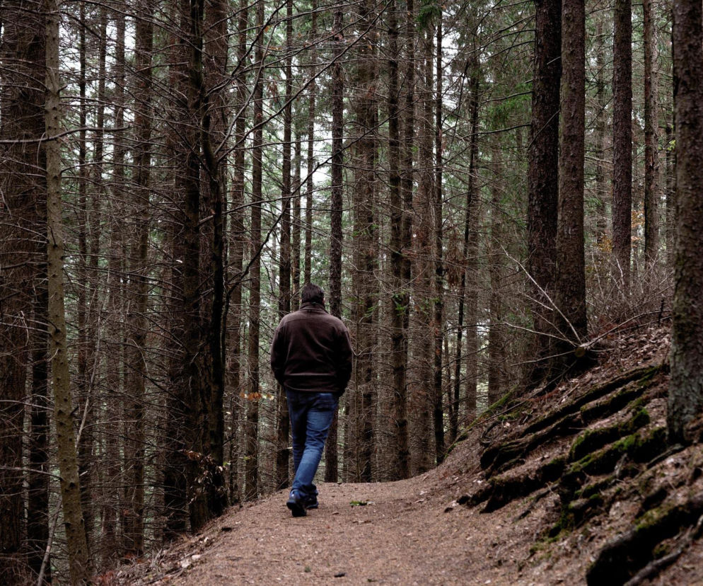 Wystarczy kilkadziesiąt minut w lesie. Organizm zareaguje szybciej niż myślisz