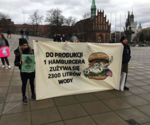 Strajk klimatyczny w Szczecinie