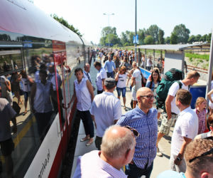 Słoneczny patrol, Leżak, Parawan, Latarnik, Pirat i Kuter zabiorą bydgoszczan nad morze