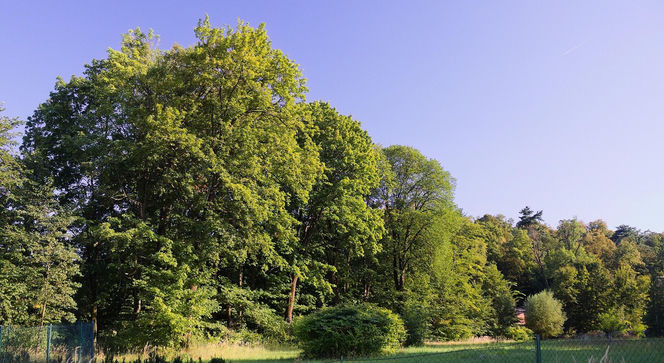 Ta gmina w Małopolsce jest turystycznym hitem! Zwyciężyła w prestiżowym plebiscycie