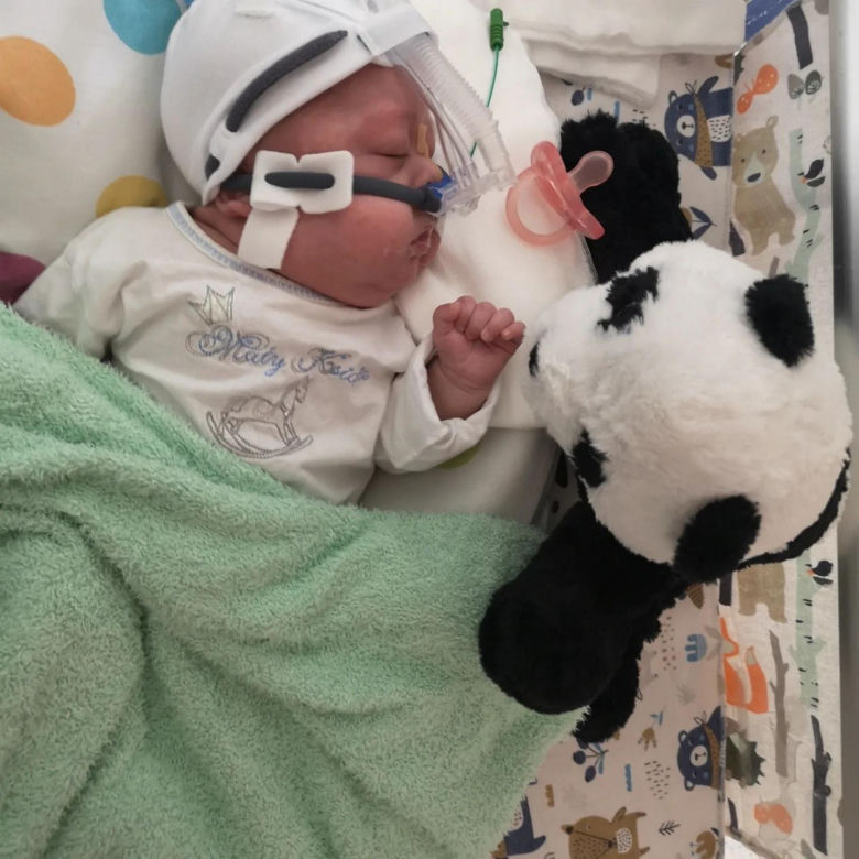 Pięcioraczki z Horyńca kończą roczek! Tak zmieniały się maluszki