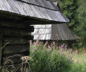 To jedna z najpiękniejszych wsi na Podhalu. Według legendy jej pierwszym sołtysem był słynny zbójnik