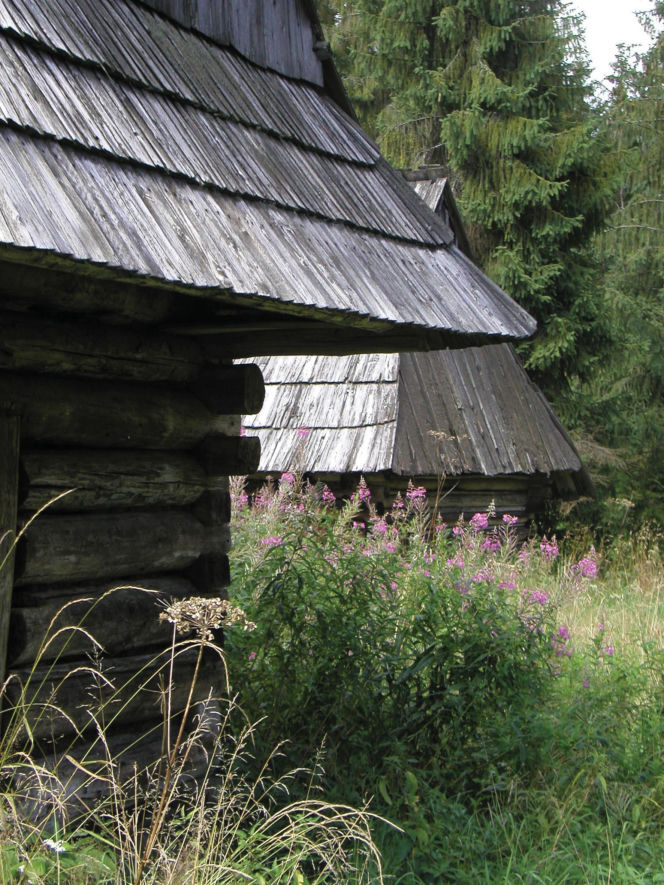To jedna z najpiękniejszych wsi na Podhalu. Według legendy jej pierwszym sołtysem był słynny zbójnik