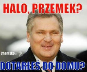 Przemysław Wipler memy