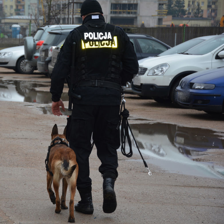 Bohaterska Mulka schwytała włamywacza. Tropiła go do samego końca