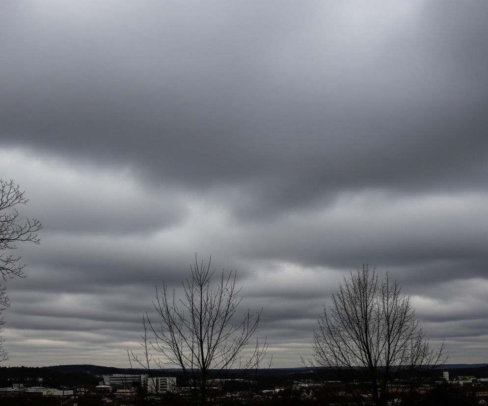 Horyzont wypełnia rozległe, ciemnoszare zachmurzone niebo z wyraźnymi poziomymi pasmami chmur, które są jaśniejsze w niższych partiach i ciemniejsze u góry. Na pierwszym planie, po lewej stronie kadru, widać dużą, pozbawioną liści koronę drzewa o gęstej sieci ciemnych gałęzi. Poniżej rozciąga się ciemny krajobraz, na którym ledwo widoczne są zarysy budynków i zadrzewienia. W centralnej i prawej części obrazu, na tle krajobrazu, wyróżniają się dwa mniejsze, nagie drzewa.