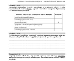 Matura 2018 z biologii [ARKUSZE CKE, ODPOWIEDZI]