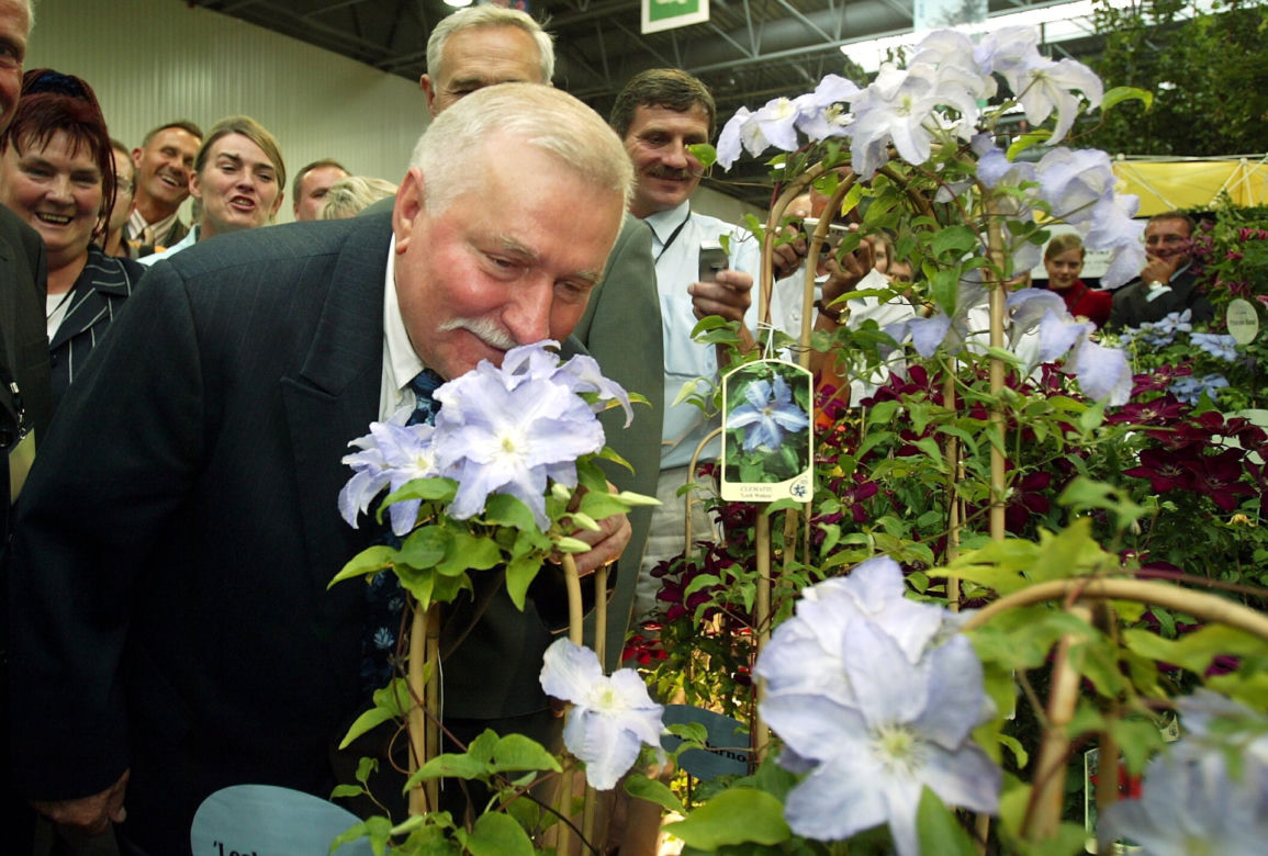 79. urodziny Lecha Wałęsy. Taki naprawdę jest były prezydent 