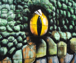 Przy ul. Mieszka I w Siedlcach można podziwiać całą galerię murali i graffiti