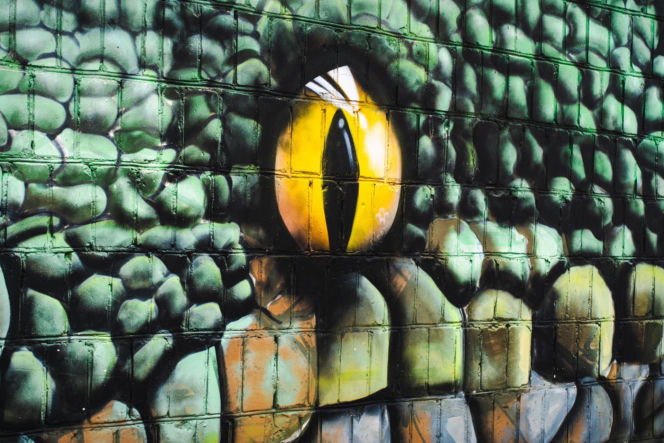 Przy ul. Mieszka I w Siedlcach można podziwiać całą galerię murali i graffiti