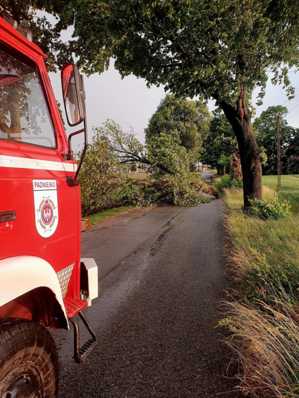 Potężna burza przeszła przez Bydgoszcz i region. Ponad 400 interwencji strażaków!