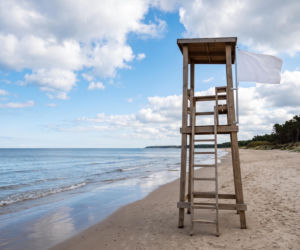 Sinice Gdynia. Czy w Gdyni można się kąpać 01.08? Flaga, warunki pogodowe
