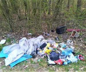 Śmieci w lesie albo przy drodze? Nie patrz bezczynnie. Jak i gdzie to zgłosić?