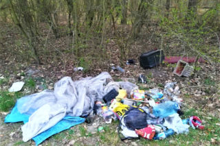 Śmieci w lesie albo przy drodze? Nie patrz bezczynnie. Jak zgłosić nielegalne wyrzucanie śmieci?