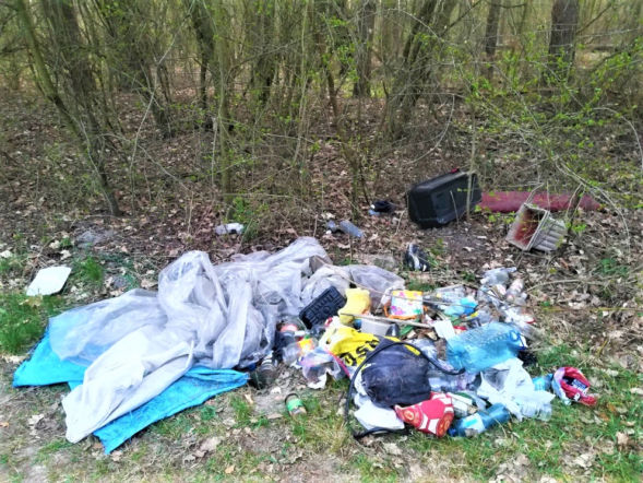 Śmieci w lesie albo przy drodze? Nie patrz bezczynnie. Jak i gdzie to zgłosić?