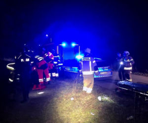 Szczeniak uratował życie swojemu właścicielowi pod Skierniewicami