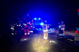 Szczeniak uratował życie swojemu właścicielowi pod Skierniewicami