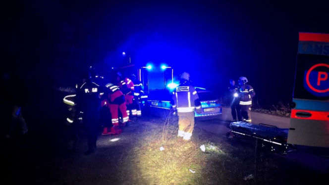 Szczeniak uratował życie swojemu właścicielowi pod Skierniewicami