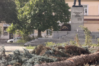 Protest mieszkańców nie pomógł. Świerki i modrzewie na Placu Drzewnym w Tarnowie zostały wycięte