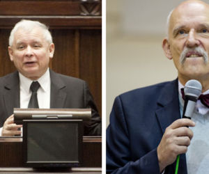 Jarosław Kaczyński, Janusz Korwin-Mikke