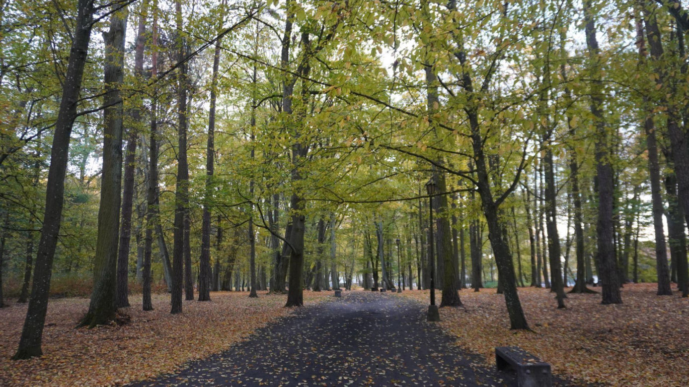Park Lubomirskich